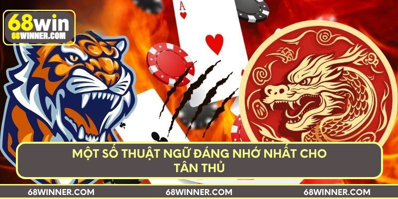 Một số thuật ngữ đáng nhớ nhất cho tân thủ